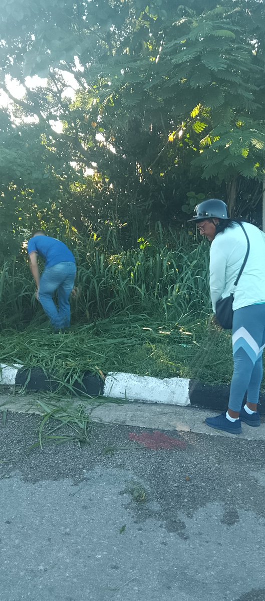 IsmeliDiazM's tweet photo. Trabajamos en la transformación de la entrada de #Alamar en #LaHabanaDelEste. https://t.co/B26ggMx6Dm