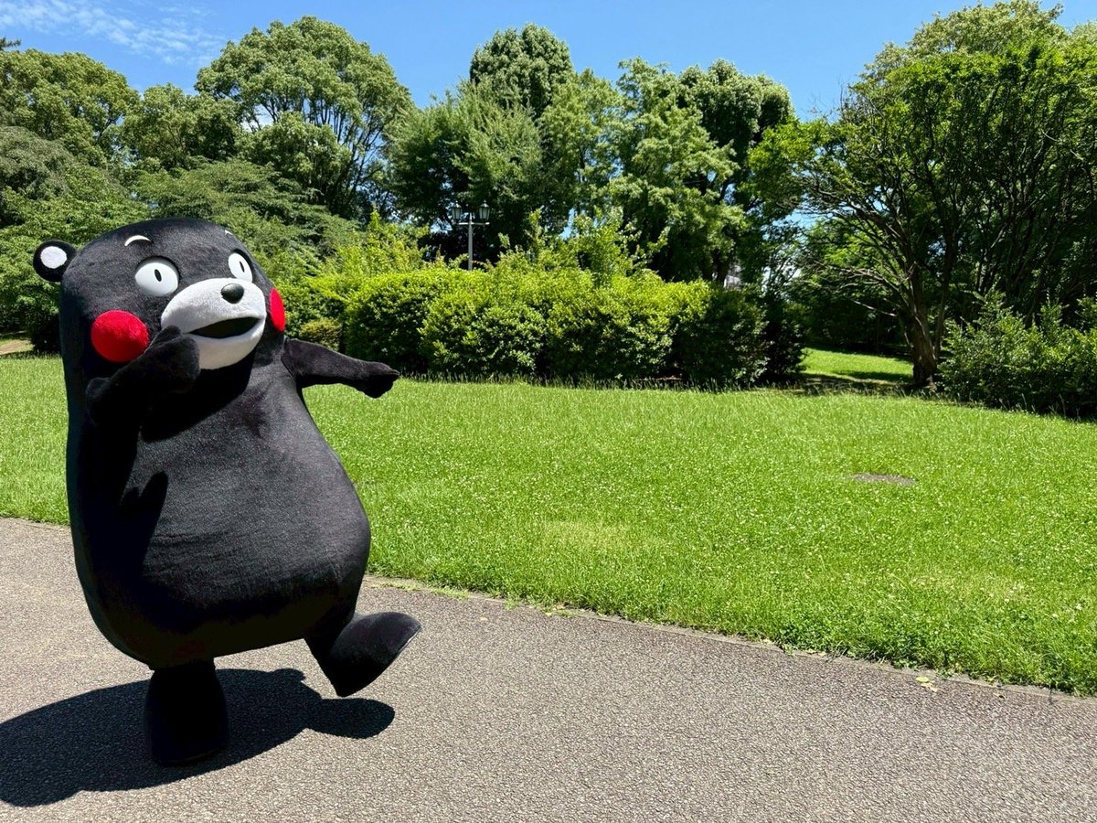 RiroKotoMono's tweet photo. @55_kumamon おはくま〜🍇🍠🌰🍄‍🟫💕
気持ちよく晴れてるのね。
大きく深呼吸して元気に行ってらっしゃいだモン❣️ https://t.co/6dNvhZotBT