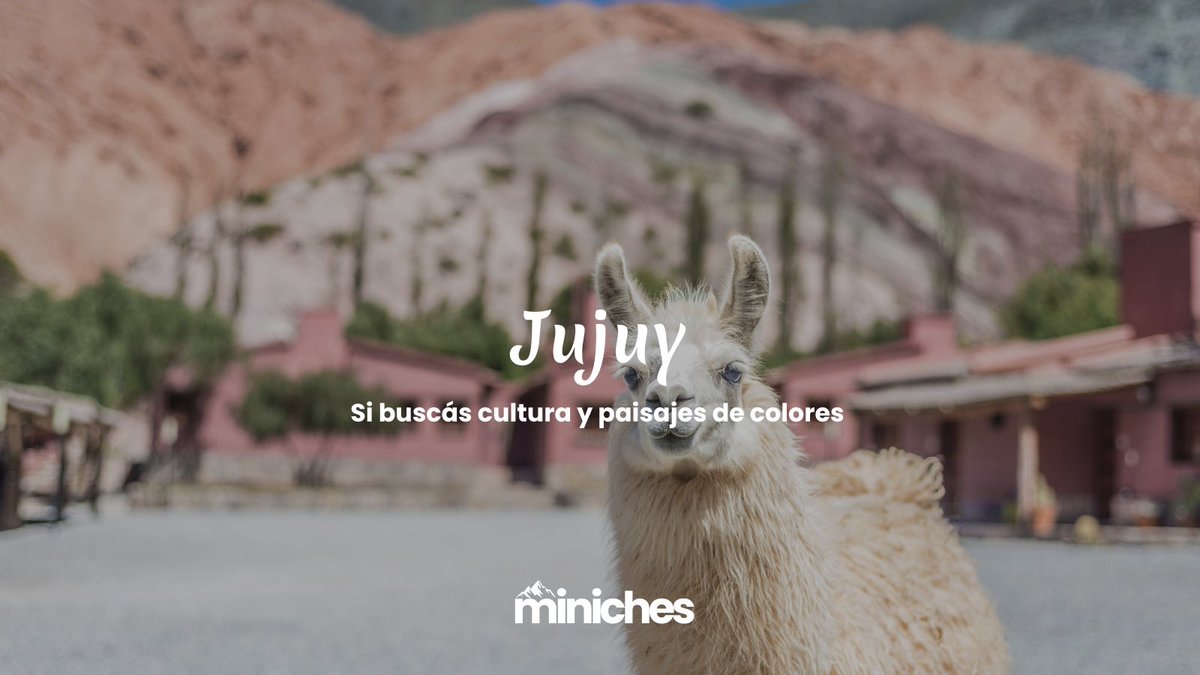 TurismoMiniches's tweet photo. ¿No sabés qué destino elegir? Te dejamos una guía rápida para definirlo según lo que estés buscando 👇

#TipsDeViaje #TurismoMiniches https://t.co/tIG5ih9t3R
