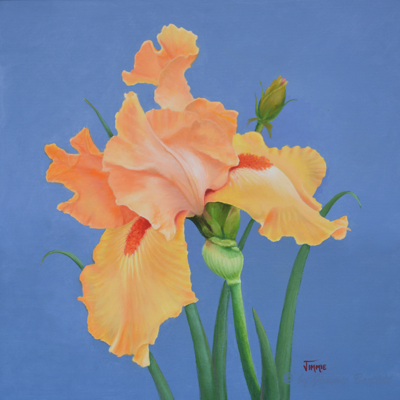 jimmiesart's tweet photo. Yellow Iris original oil painting https://t.co/YmrAwlVyOW via @jimmiesart #buyintoart #fineart #fineartprints #originalpaintings #oilpaintings #acrylicpaintings #collectible https://t.co/YHyUS5hYtT