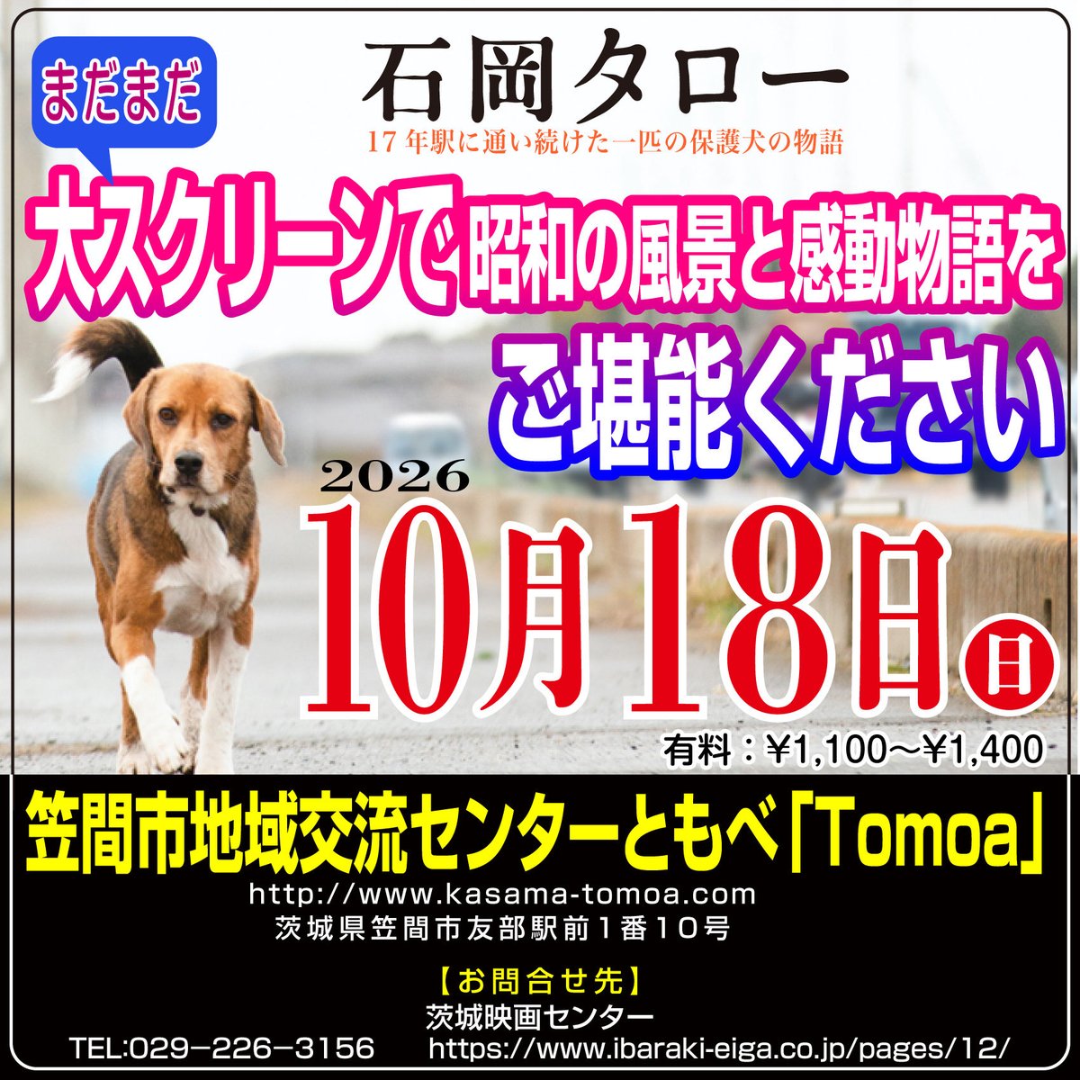 iPkytLQgaXC7c5l's tweet photo. 17年間JR石岡駅に通い続けた保護犬タローの、45年に渡る感動の実話。
＃石岡タロー ぜひ、ご鑑賞ください(*^^) https://t.co/FtwuaiWha1