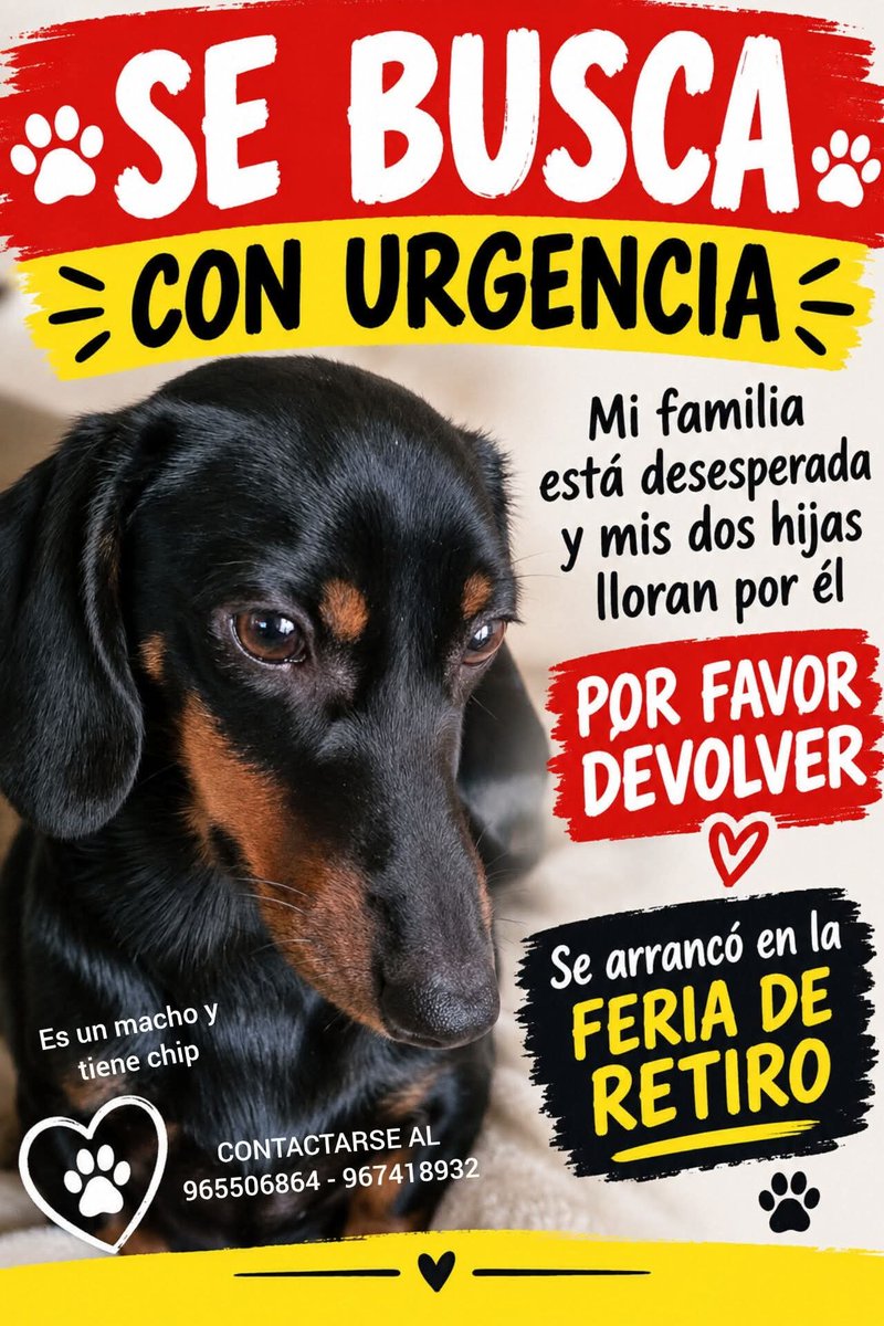 todopormiperro's tweet photo. https://t.co/yZJtumwiag