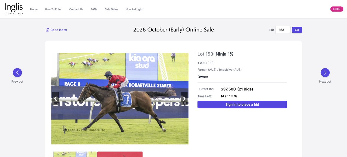 idolhorsedotcom's tweet photo. 🇭🇰 カーインライジングにバリアトライアル（実戦形式の調教）で先着、🇦🇺 ニンジャはなんと……

現在、@InglisJapan のオンラインセールで共有持ち分を販売中。「1%の所有権」を誰でも入札できます。

なお、ニンジャはジ・エベレストに出走予定です。
https://t.co/OIiMmZGpHI https://t.co/ASUaEiACHs