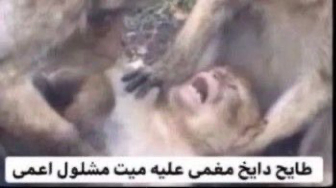 iY6ll7's tweet photo. يارب ما تكون مشاعري راجعه للصفر https://t.co/ASdniomE3p