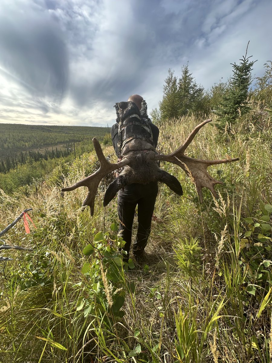 ShibSkywalker's tweet photo. @mrspoindexter @KUIU Come on an epic moose hunt in Alaska. 🫎 https://t.co/tcGUHiuq3w