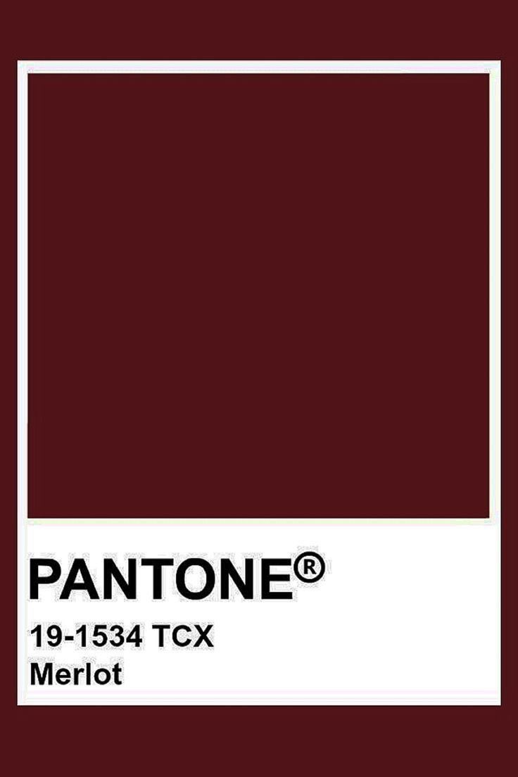 archiveuby's tweet photo. How pinterest sees me

☆ fashion
☆ pantone 
☆ mood
☆ food

💁🏼 https://t.co/CUWN36Ja1d