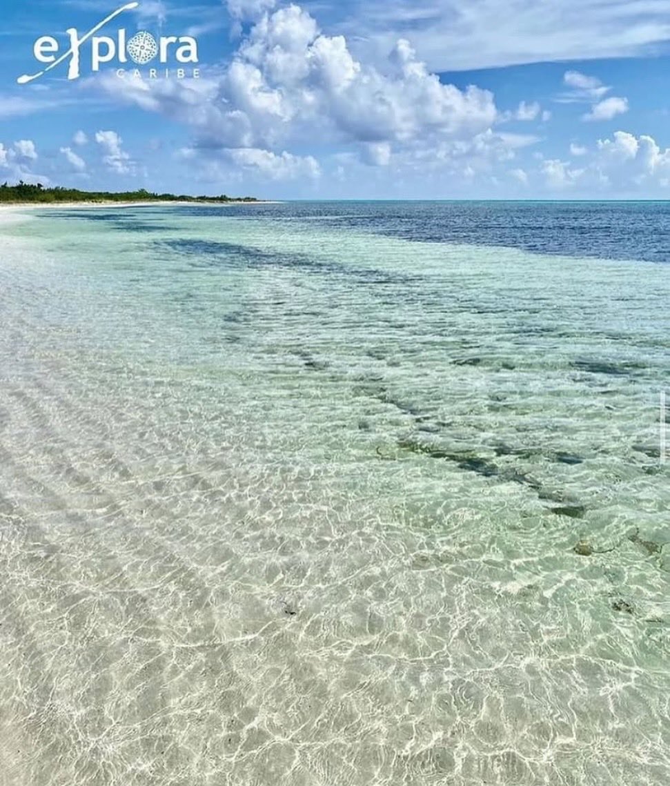 ExploraCaribeMX's tweet photo. Cozumel nos regala la paz y la tranquilidad que no se encuentran en otro destino. 🩵🫶🏻 ¿Te veremos pronto por aquí?
#goexplora #exploracaribe #cozumel https://t.co/gnBRcwDHLH