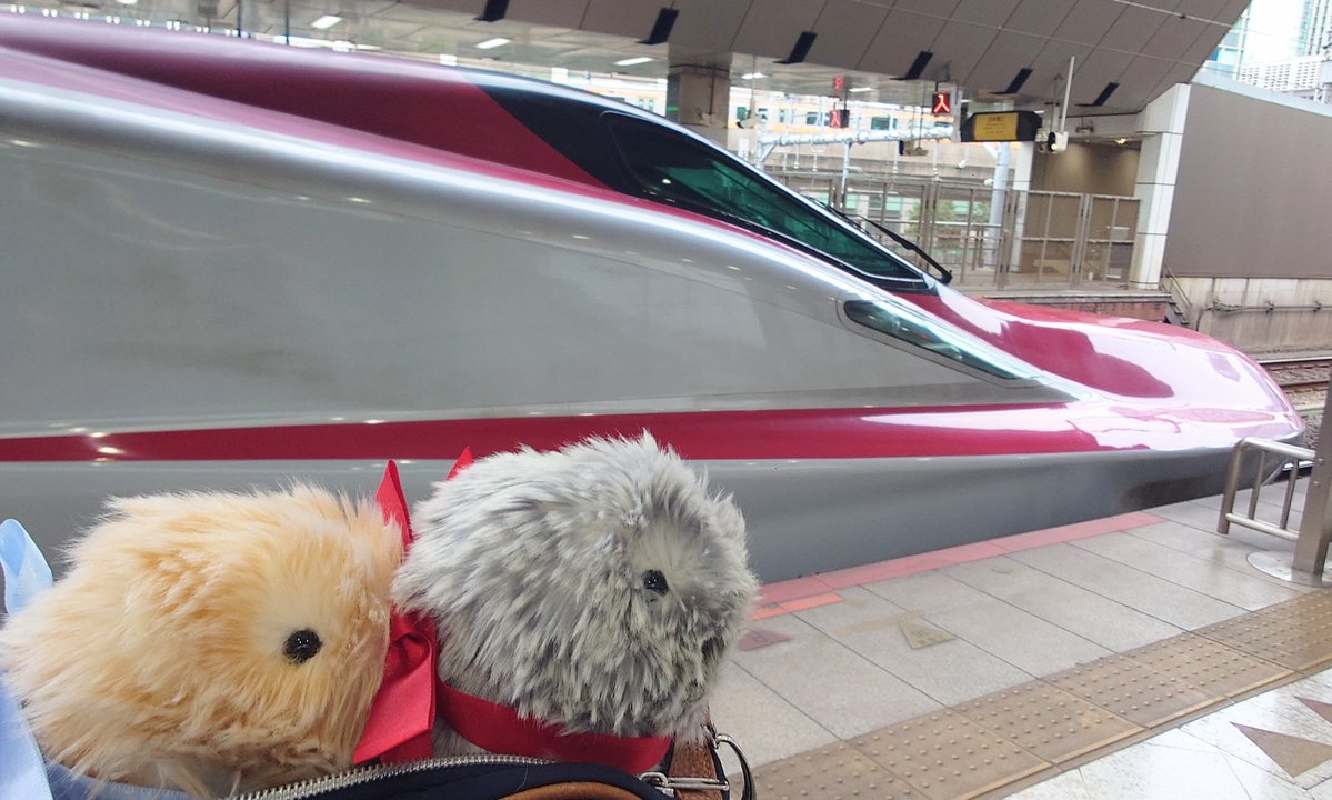 takazie's tweet photo. こまち❤️ https://t.co/46HJJTVkSc