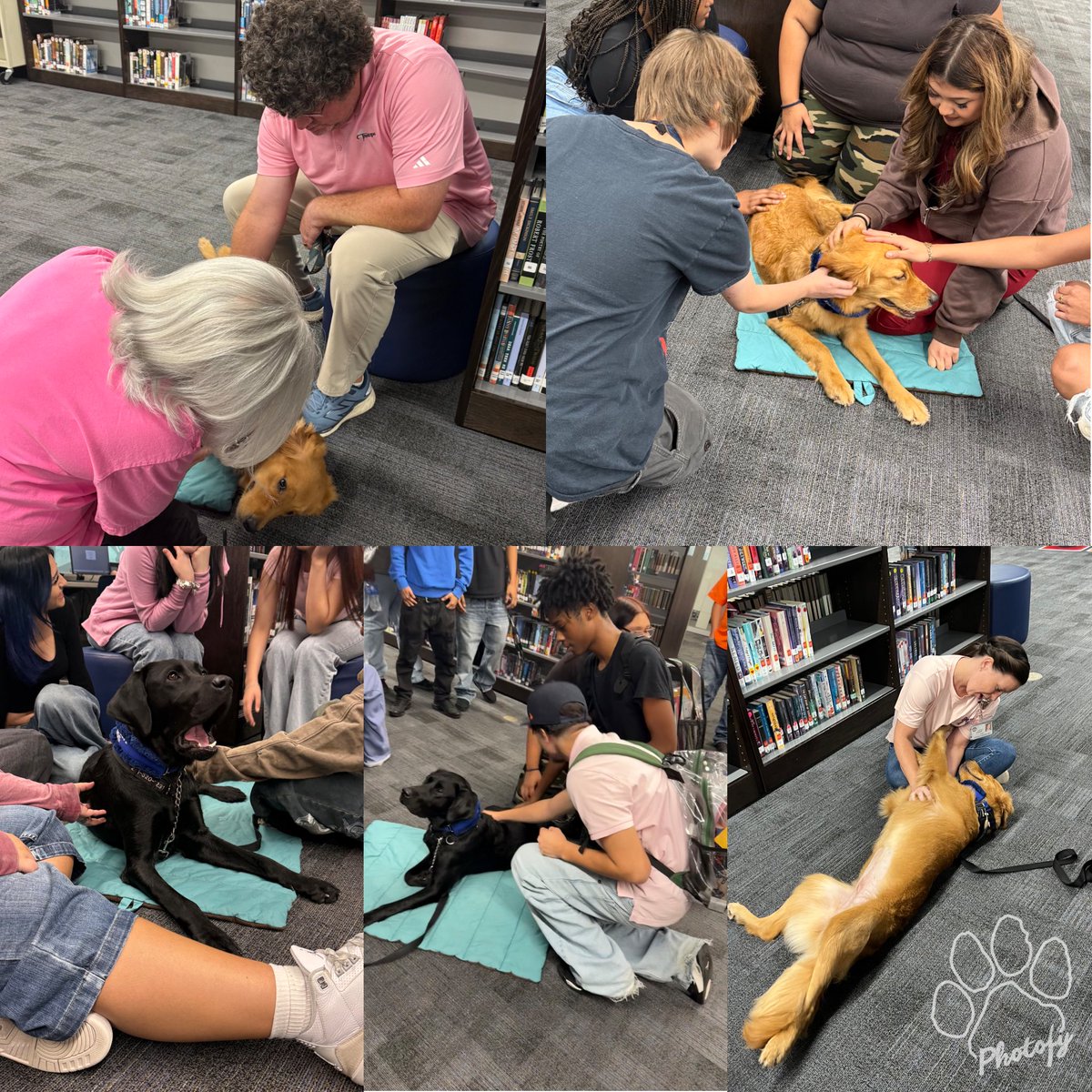 librarianKD's tweet photo. Last Friday I got to introduce @BrautigamCenter students and staff to the joy of @comfort_dogs at lunch! Everyone left with smiles on their faces! Ginger and Raven were the stars of the library! Then, I got to enjoy our Final Chapter Friday with games, books, and sticker art. https://t.co/yJWfy21Dg5