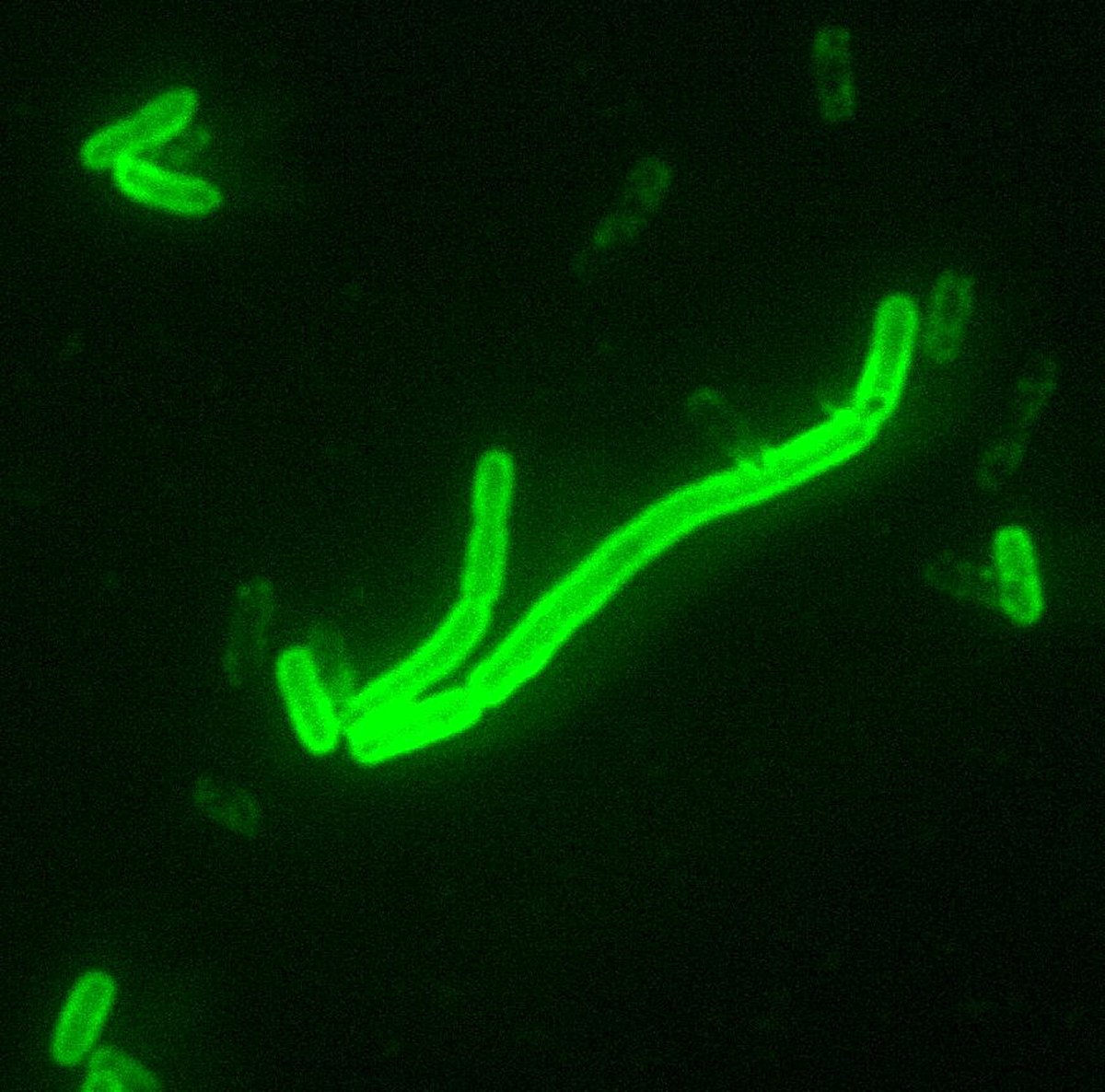PumpTheDeployer's tweet photo. @blknoiz06 G8vc9C6vwnUDtoUa5aQ3qNcSzJcYyYRTvwYdgMV9pump https://t.co/cn0i2RRTLP