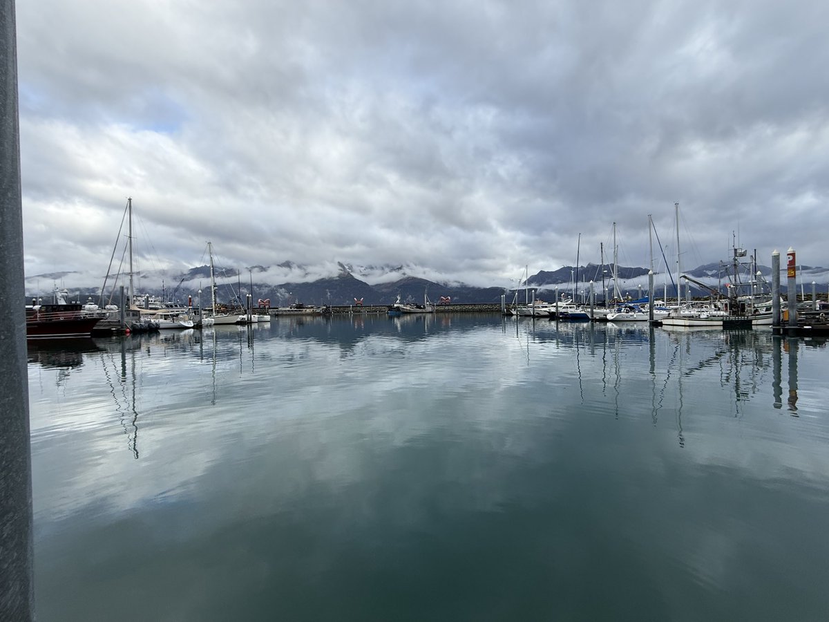 Jay_Ray_'s tweet photo. Views.
#alaska
#seward https://t.co/4WOLQgDzSa