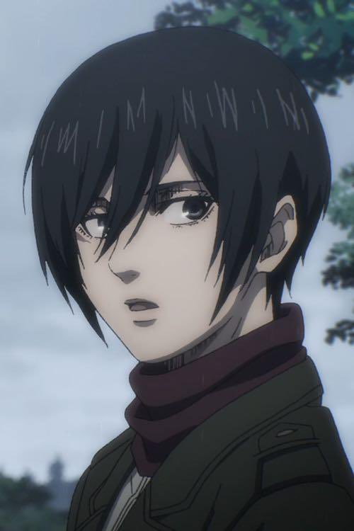Experxment's tweet photo. i judge attack on titan fans based on how they treat mikasa ackerman https://t.co/M8EwYVnvC7