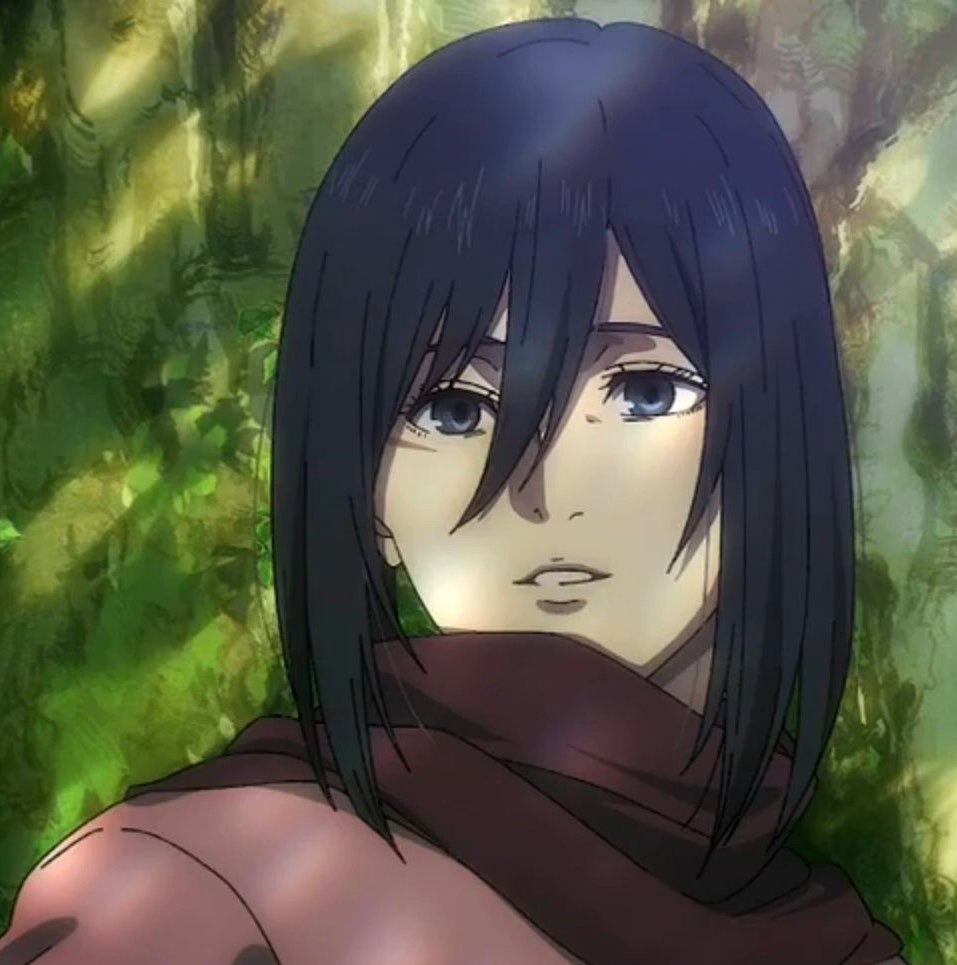 Experxment's tweet photo. i judge attack on titan fans based on how they treat mikasa ackerman https://t.co/M8EwYVnvC7