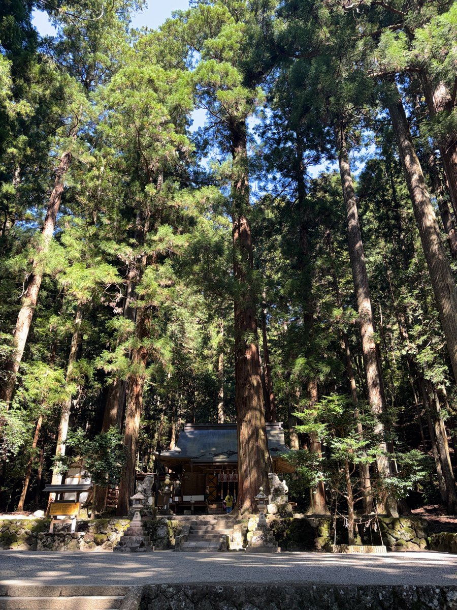momo_bismore's tweet photo. うっかり心洗われそうになる空気の綺麗さだった。でも今世は都会と自分の欲に染まると決めたんだ、普通の女の子になろうとするなよ。 https://t.co/KfjvYF8mBZ