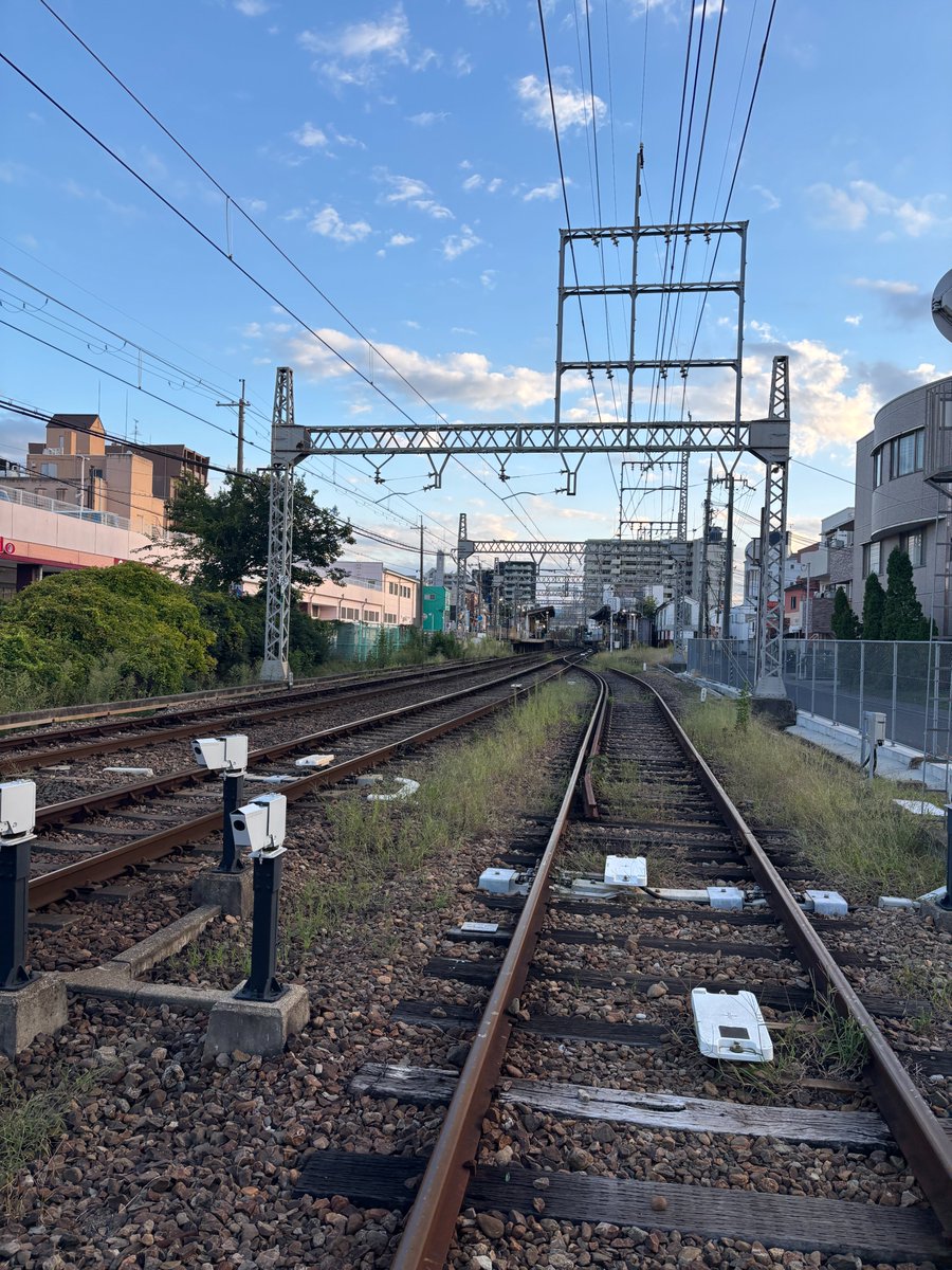 momo_bismore's tweet photo. うっかり心洗われそうになる空気の綺麗さだった。でも今世は都会と自分の欲に染まると決めたんだ、普通の女の子になろうとするなよ。 https://t.co/KfjvYF8mBZ