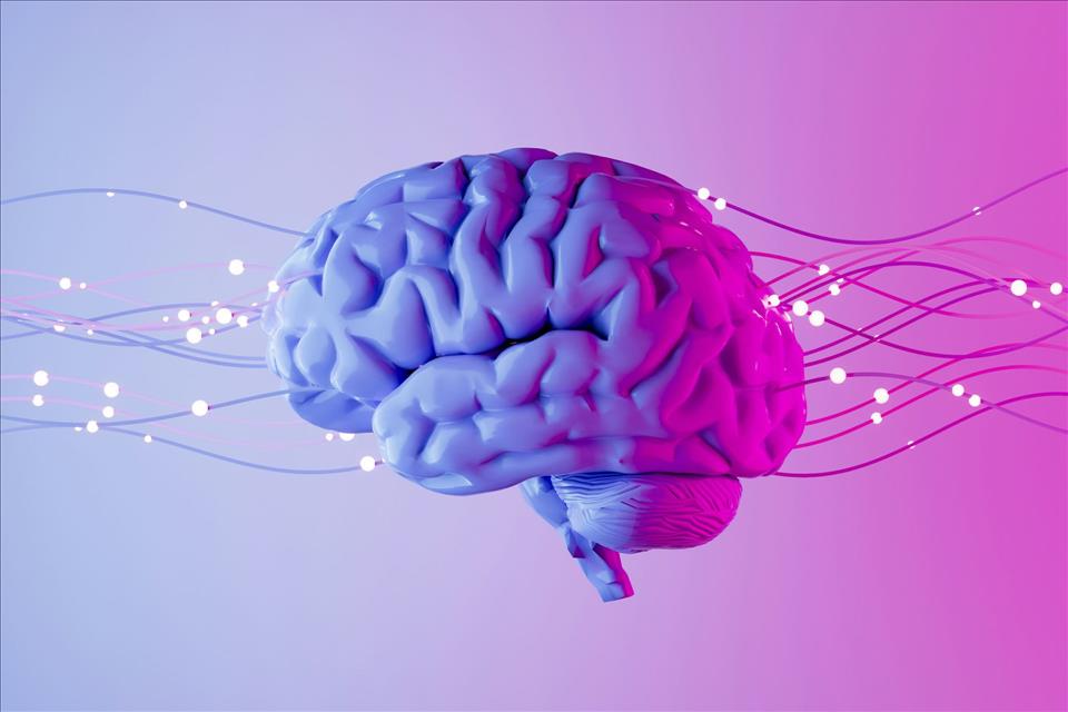 MENAFN's tweet photo. Optogenetics Wins The Nobel One Neuroscience Breakthrough In A Line Of Technological Innovations Helping Scientists Map And Control The Brain #Optogenetics #Wins #Nobel #Neuroscience #Breakthrough #Line #Technological #Innovations #Helping #Scientists #Control… dlvr.​it/TVnh3f https://t.co/zRi8RrqcAZ