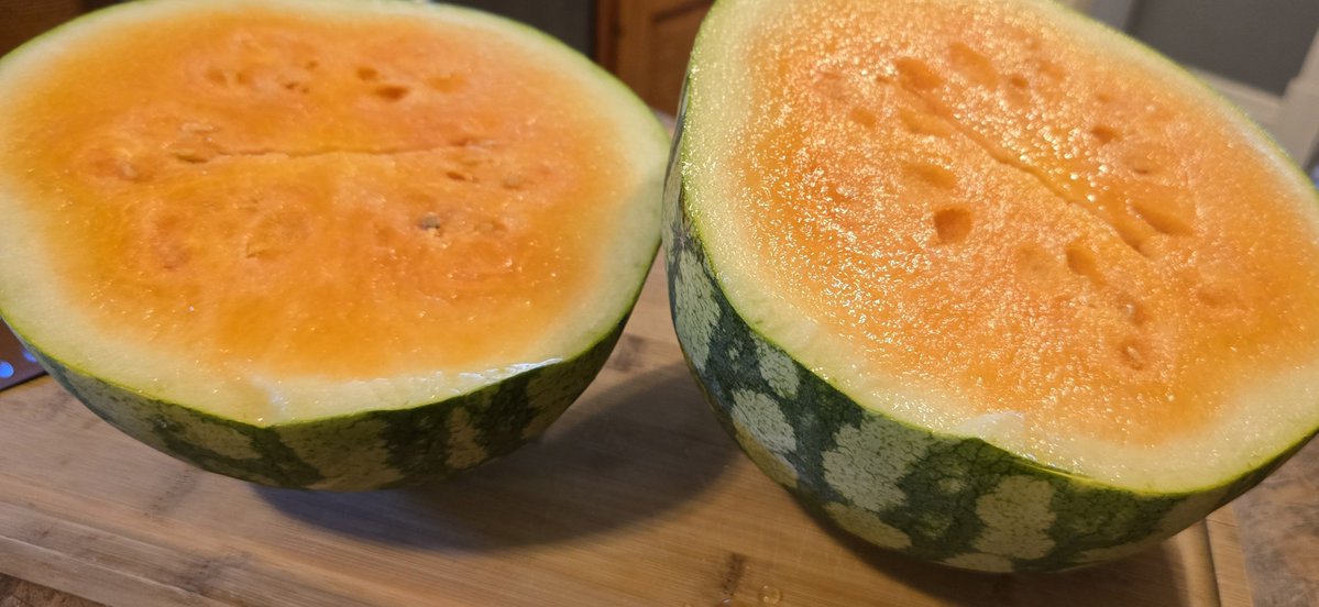 localcryptogod's tweet photo. Have you ever seen an Orange Watermelon? 👀

It was delicious! https://t.co/CvfpHGuafJ