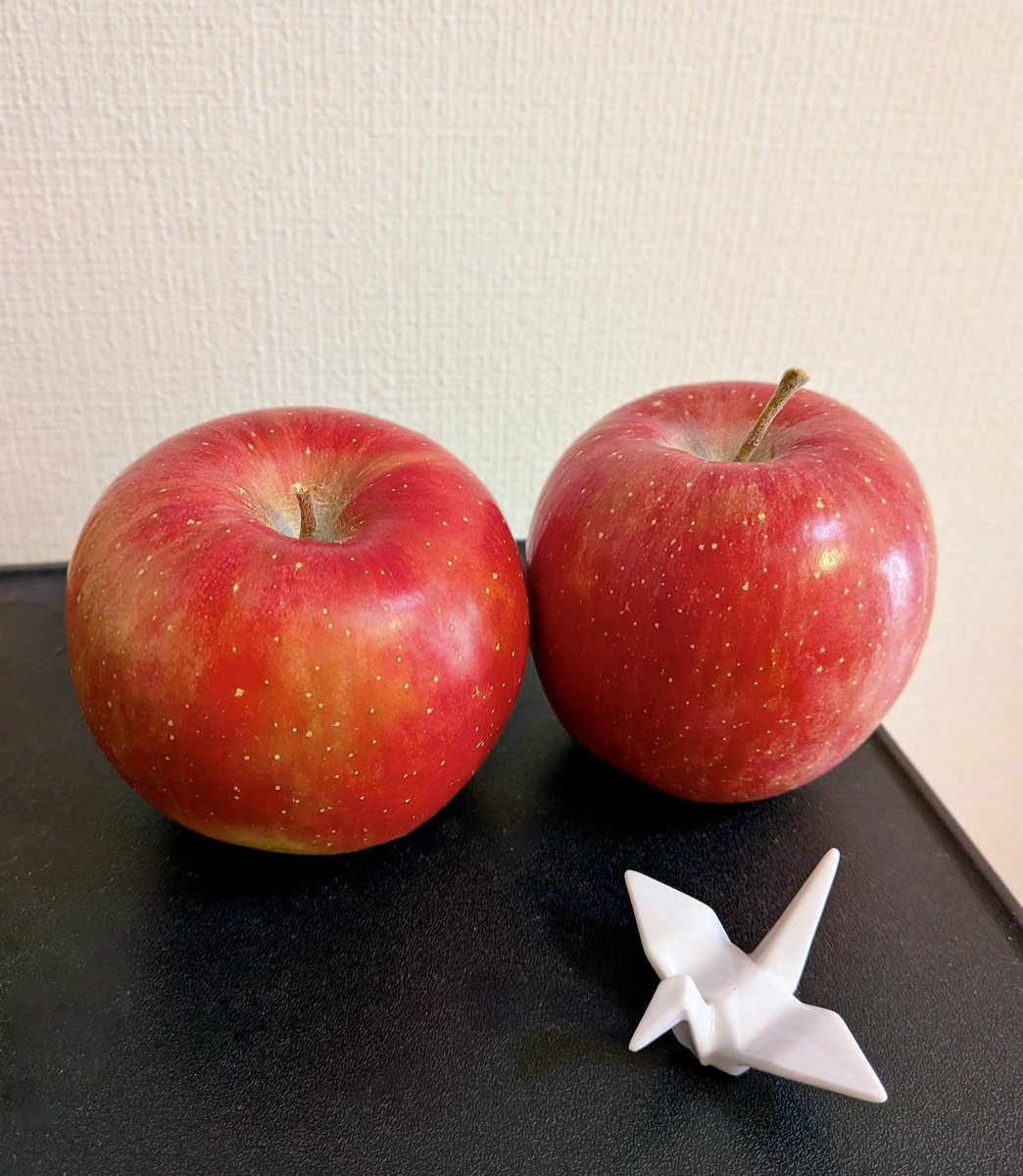 369amanoryo's tweet photo. おはようございます。

青森の真っ赤なりんごっ子🍎
なんとも可愛いですね。
食べてしまうのがもったいないくらい。
だんだん秋も深まりつつありますね😉

さて、昨日はきゅりあんゲスト出演、
たくさん応援いただきまして、
ありがとうございました！☺️
そして来週はいよいよみくに会です‼️🎤

10月13日火曜日
荏原文化センター
入場無料

ぜひたくさんの方々のご来場を
心よりお待ちしております♪

みなさま、
今日も一日どうぞすこやかに
おすごしください🤗