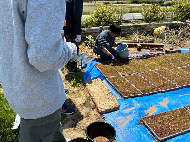 ss_kamiarakawa's tweet photo. 【カリキュラム紹介】
外出カリキュラムで、いわき市の農家古民家ゲストハウス・GAMP HOUSEさんへ🧑‍🌾
稲の芽を守る土かけや水やりを体験しました。
バケツで水を運び、声を掛け合いながら協力して作業😊
自然や古民家の雰囲気も楽しみながら、それぞれのペースで過ごしました🌱

#福祉事業所 #いわき市 https://t.co/End1LKEq17