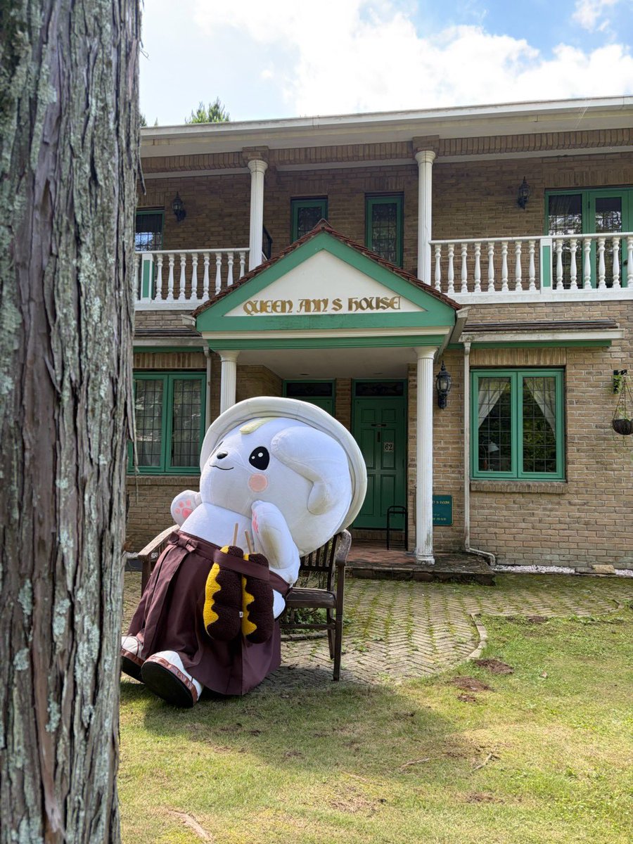 sanomaru225's tweet photo. グーもーにん♬
さわやかなあさだね〜ヽ(*＾ω＾*)ﾉ https://t.co/xjUXyptE7n