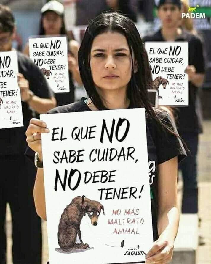 GRamirezF_D12's tweet photo. #NoAlMaltratoAnimal https://t.co/6jHmQaYIpW