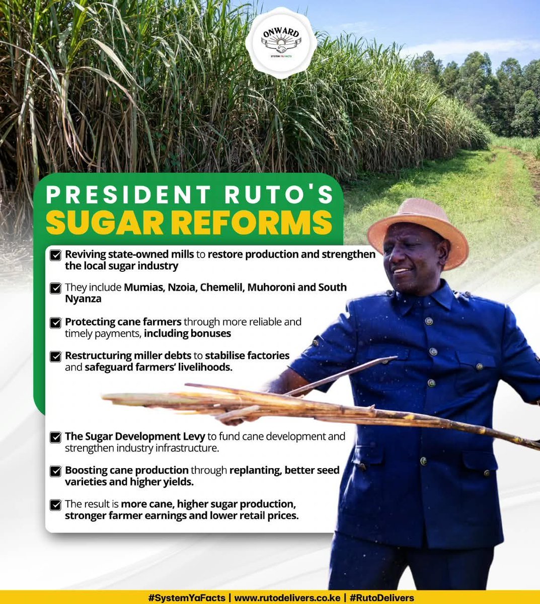 MtakatifuMike's tweet photo. The numbers tell a story of recovery: 44.5% higher sugar production, 52.3% higher cane deliveries and KSh 33.5 billion paid to farmers. Sugar reforms are delivering.
#SugarReformsSuccess https://t.co/sSm5W3ytCr