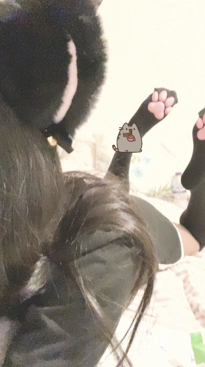 ayxyck's tweet photo. >< #pawsocks #catgirl #dada #discord #roblox #cutecore #kawaii #ekitten https://t.co/n9TlbaklKx
