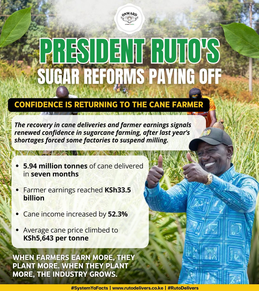 MtakatifuMike's tweet photo. From cane crisis to a stronger sugar sector. Production jumped 44.5% to 528,874 tonnes in seven months, while cane deliveries rose 52.3% to 5.94M tonnes. The mills are running, farmers are earning. Pesa Mfukoni #SugarReformsSuccess https://t.co/tmzF4OmX1K