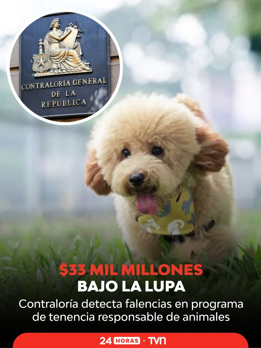 tylerlibertario's tweet photo. Qué la izquierda no le venda cuentos con el recorte de la ley Cholito, hay un informe de contraloría que detectó irregularidades en el programa de tenencia responsable de mascotas por más de 33 mil millones https://t.co/eo89GcyyYI