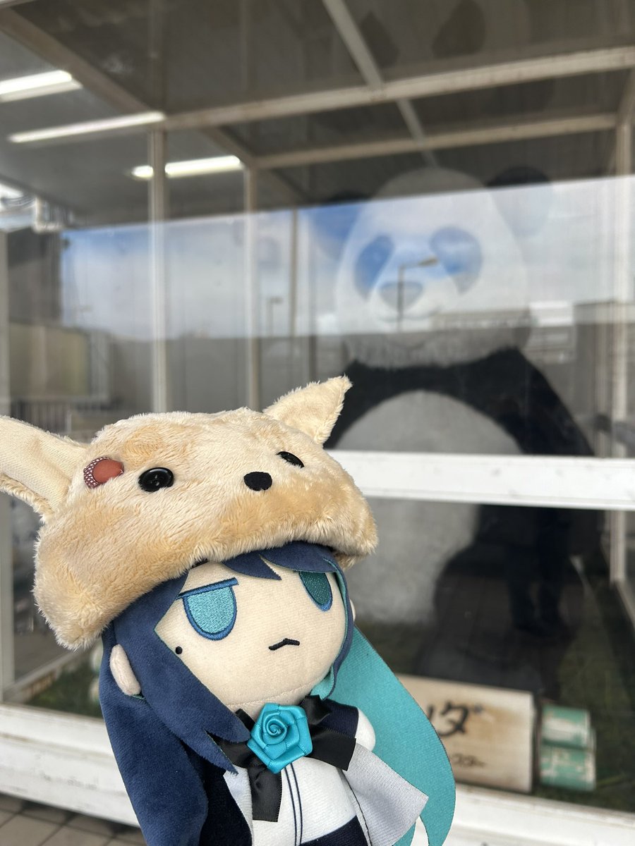 star_12_14's tweet photo. 上野には、ジャイアントパンダ像が、
あるんですね、上野は初めてきたので、
ジャイアントパンダ像なんてものが、
あるのは、知らなかった！
すごくデカいし可愛いかった❣
Adoぬいちゃんとパシャリ📸 https://t.co/4UsVMzxrPf