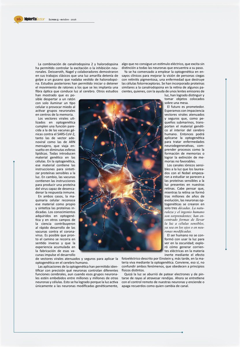 QuintaMam's tweet photo. Control remoto del cerebro con la luz: Premio Nobel de Fisiología y Medicina 2026

Autor: Elías Manjarrez
 
A la luz no solo le gusta jugar al fútbol con los electrones, ni atravesar rendijas para jugar a las cebras.
También le gusta jugar con controles remotos en el cerebro https://t.co/yssf0HEJru
