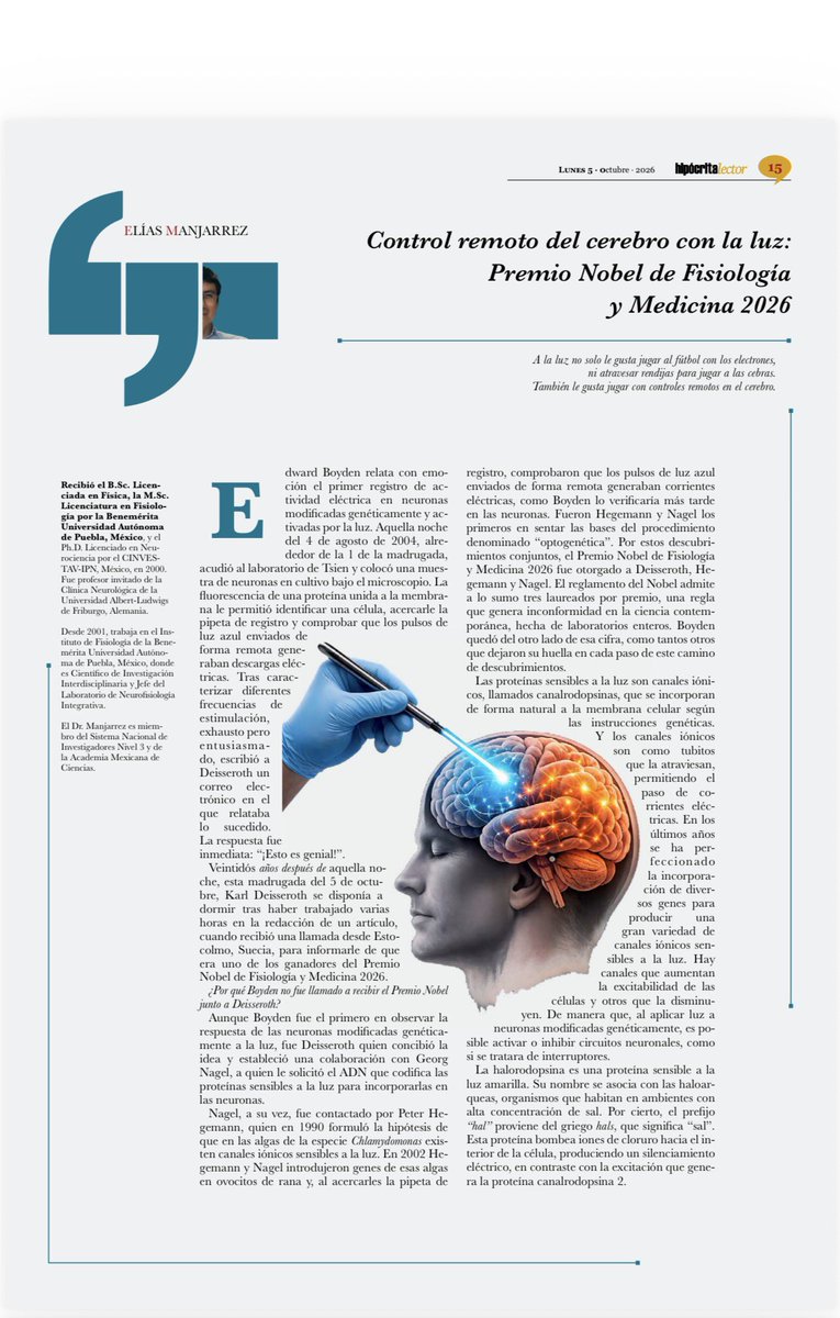 QuintaMam's tweet photo. Control remoto del cerebro con la luz: Premio Nobel de Fisiología y Medicina 2026

Autor: Elías Manjarrez
 
A la luz no solo le gusta jugar al fútbol con los electrones, ni atravesar rendijas para jugar a las cebras.
También le gusta jugar con controles remotos en el cerebro https://t.co/yssf0HEJru