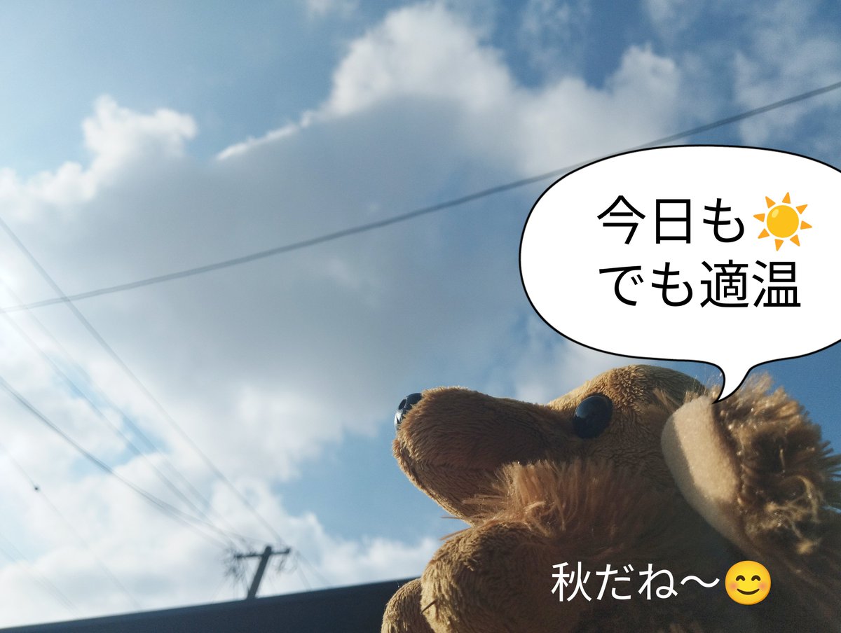 freedom2009masa's tweet photo. 週始めだし,まだまだ元気♪
外作業でも暑さが程良いしね😆👍
ただ寒暖差が凄すぎて鼻水がズルズル🤧季節に対応出来ん💦
それでも🌃は模活には最適🤭
エアマスター→ディバイダーとくれば次はこれだね😉👍
こうやって流れる様に進むから積みプラになっちゃうんだよね🤭
#ガンプラ #ガンダムレオパルド https://t.co/rgne9T88b0