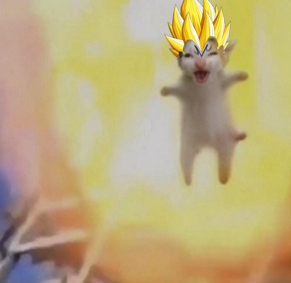 yo_wasup13's tweet photo. "I'd do this for you.... Bulma..... Trunks.... and yes..... even you, Kakarot" https://t.co/qSz6FO5Fwo