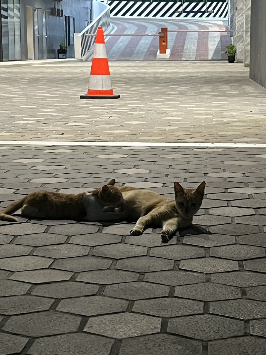 drewsvtired's tweet photo. Update! I think they’re teenager mother and daughter🥲🥺 https://t.co/VoUjRsbe0V