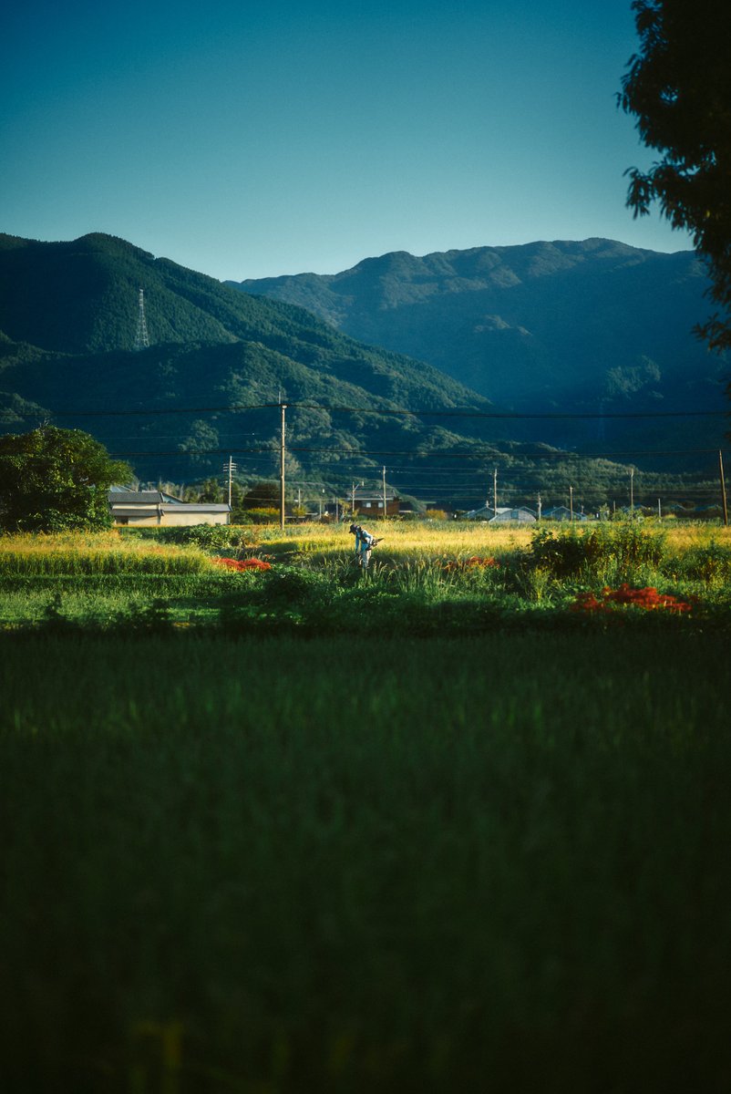 shintake_photo's tweet photo. Countryside scenes in Japan. https://t.co/9rViFO3W78