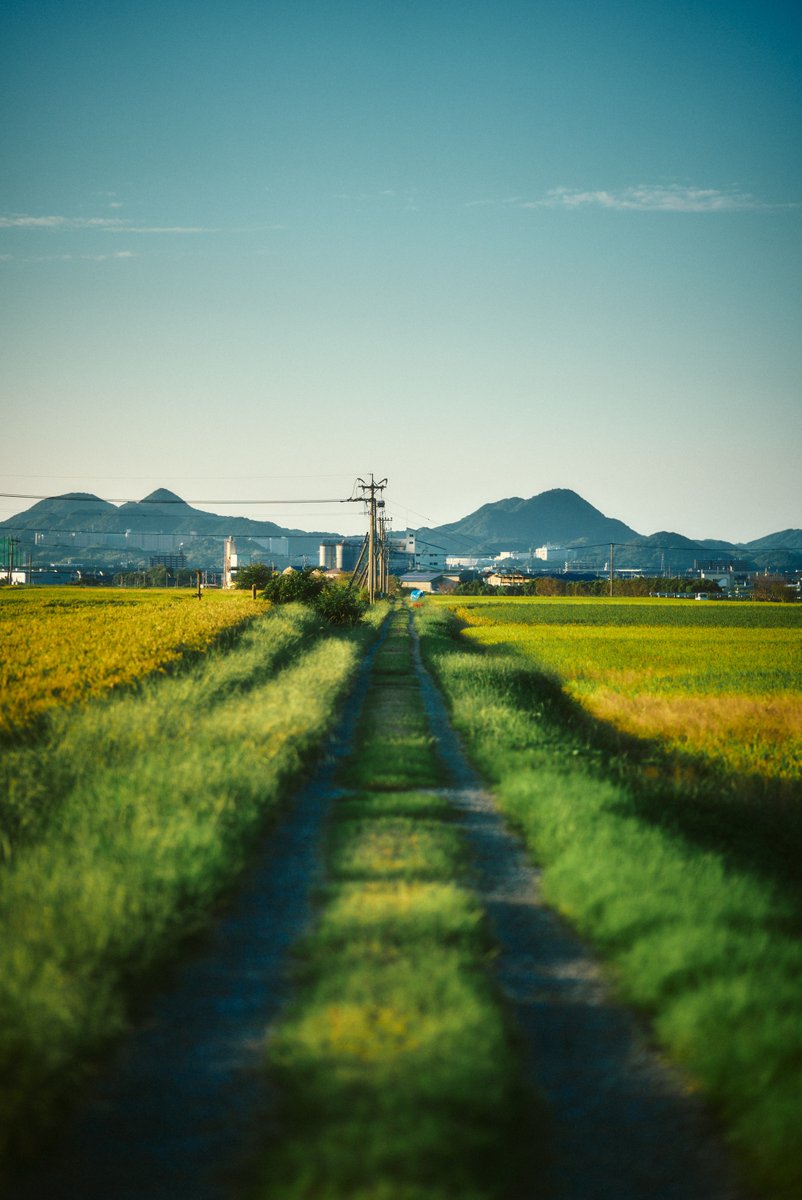 shintake_photo's tweet photo. Countryside scenes in Japan. https://t.co/9rViFO3W78