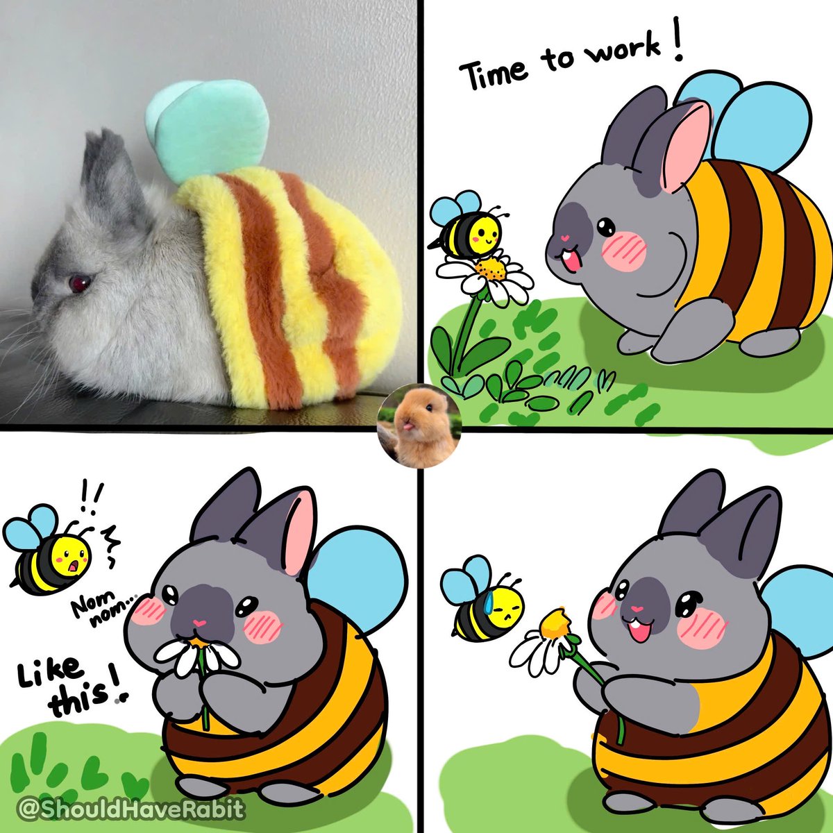 ShouldHaveRabit's tweet photo. 🐝 https://t.co/06aBddSe9W