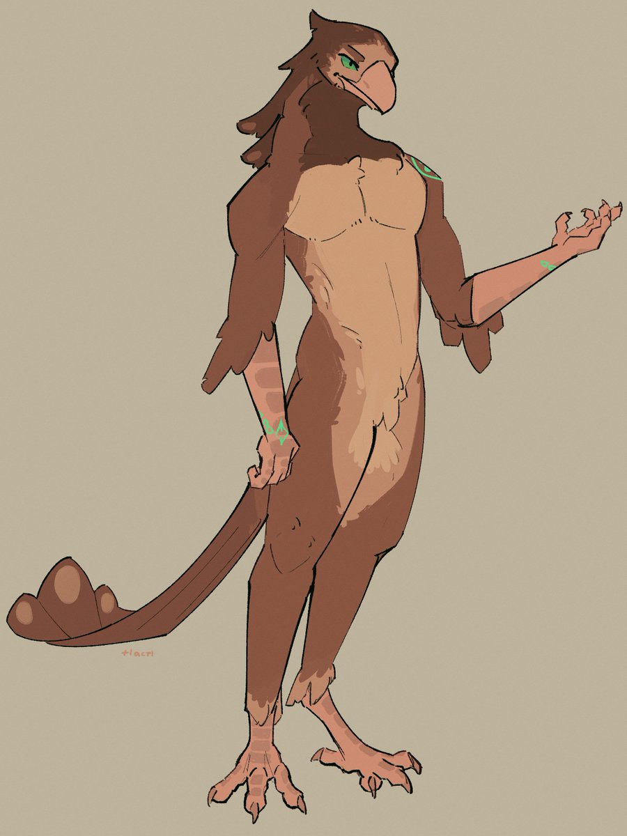 tlactl's tweet photo. bird oc redesign https://t.co/OkIcOnh39C