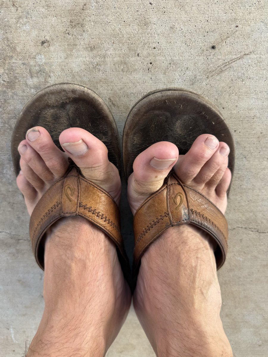 mrpfeet's tweet photo. SHOVE THESE IN YOUR MOUTH https://t.co/jnH2Y2Wzkm