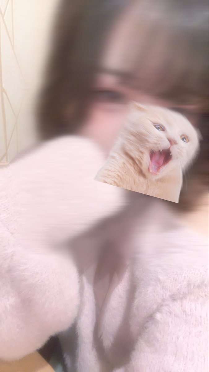 A blurry selfie of a person wearing a pink fluffy jacket, with a clear image of a yawning orange kitten overlaid on top.