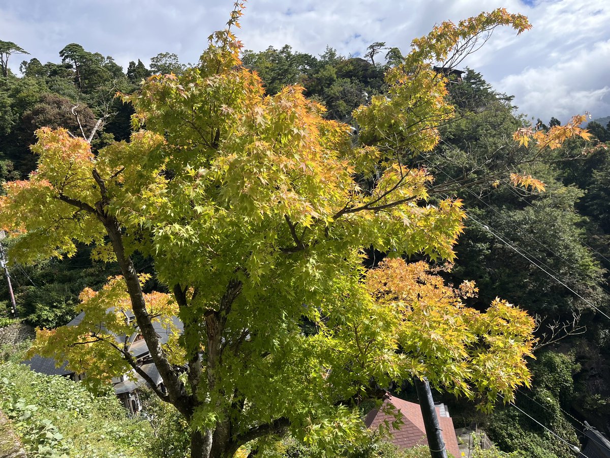 izakyh10367's tweet photo. 紅葉🍁は超ピンポイントのみ。山形の山寺はアクセス良いので一度は是非 https://t.co/vw7zFVcZ01