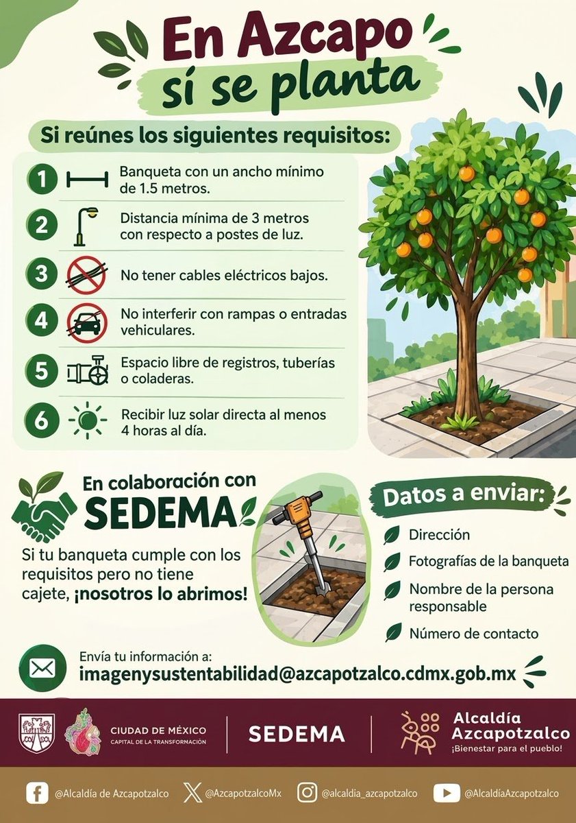 AzcapotzalcoMx's tweet photo. 🌳🌱 ¡Más árboles para Azcapotzalco!
En coordinación con la SEDEMA, iniciamos acciones de reforestación urbana para sumar más áreas verdes, generar sombra y mejorar nuestros espacios para todas y todos.
Reforestar es bienestar para el pueblo. 🌿

#BienestarParaElPueblo https://t.co/Xy0wlxGw8g