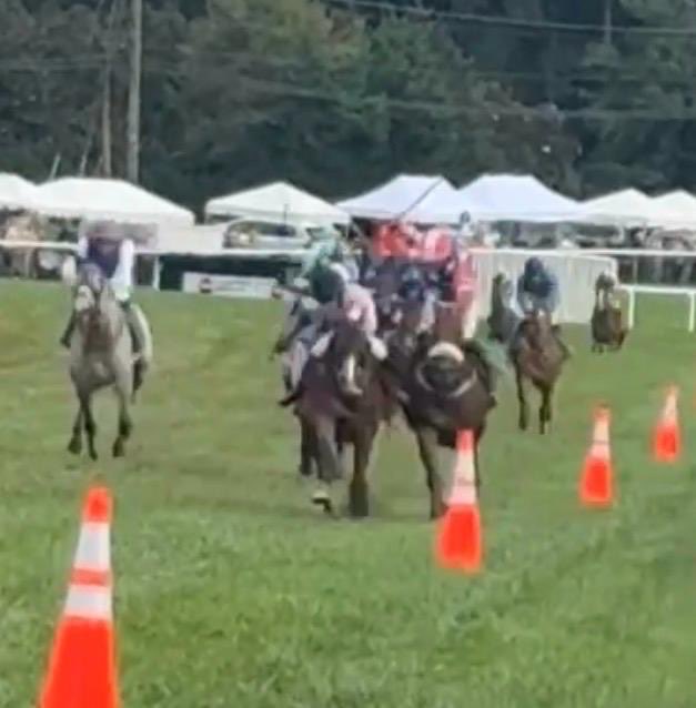 jumpracingpunt's tweet photo. NSA stewards take down 2 past 8 after making all the running in grade 2 this weekend .. @JumpingwithNSA . 
Who’s stewarding the stewards ?  
#disgrace https://t.co/bqAuRJMDnf