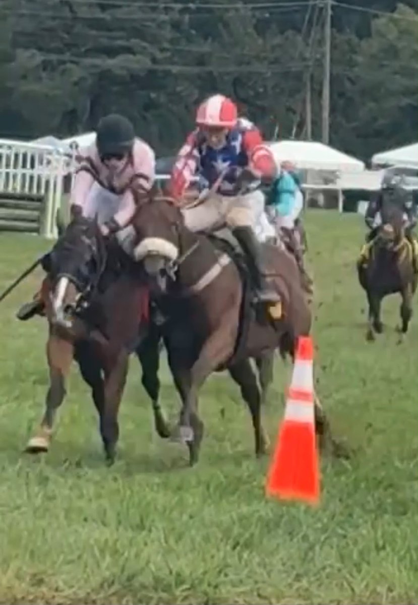jumpracingpunt's tweet photo. NSA stewards take down 2 past 8 after making all the running in grade 2 this weekend .. @JumpingwithNSA . 
Who’s stewarding the stewards ?  
#disgrace https://t.co/bqAuRJMDnf