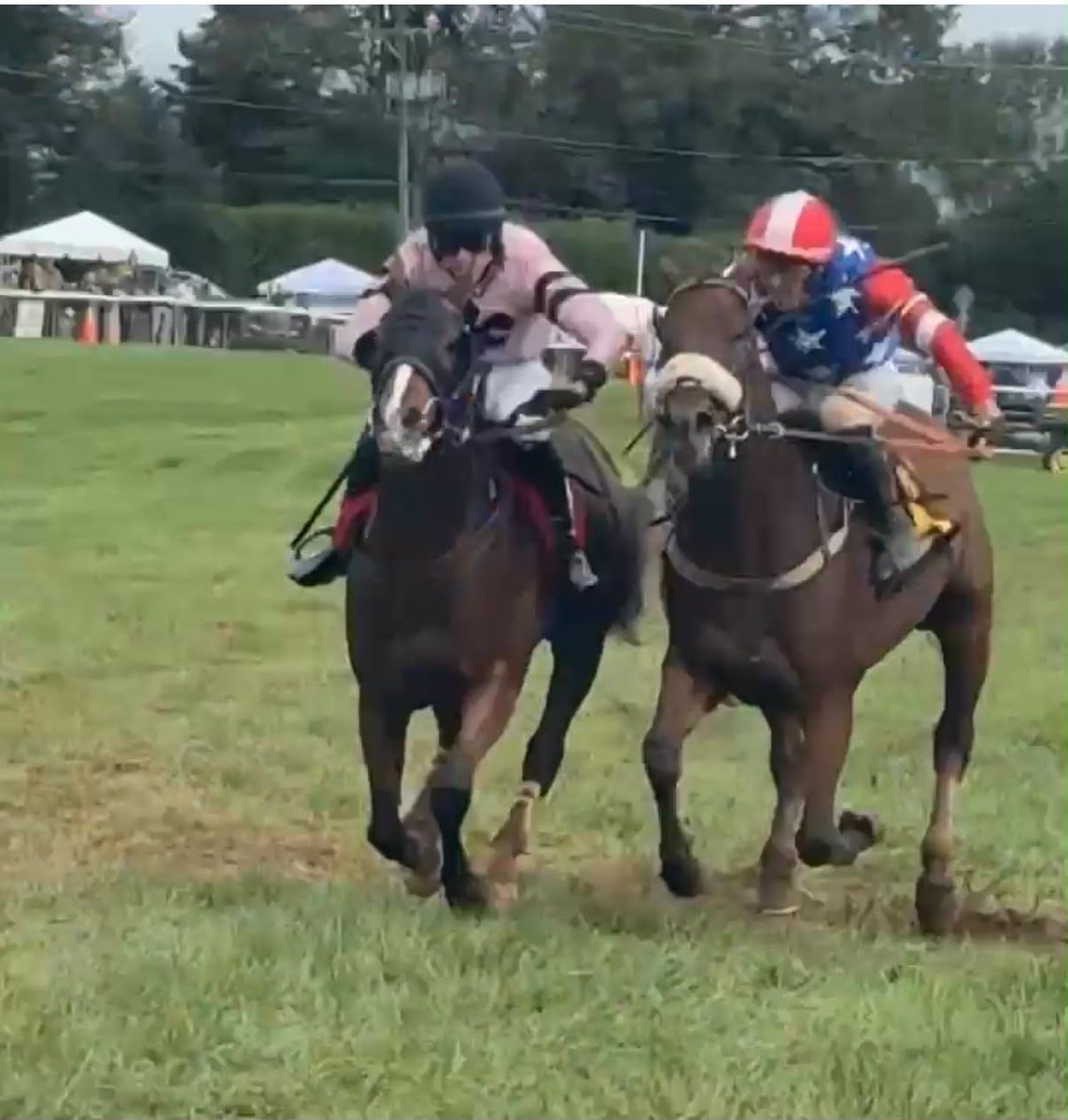jumpracingpunt's tweet photo. NSA stewards take down 2 past 8 after making all the running in grade 2 this weekend .. @JumpingwithNSA . 
Who’s stewarding the stewards ?  
#disgrace https://t.co/bqAuRJMDnf