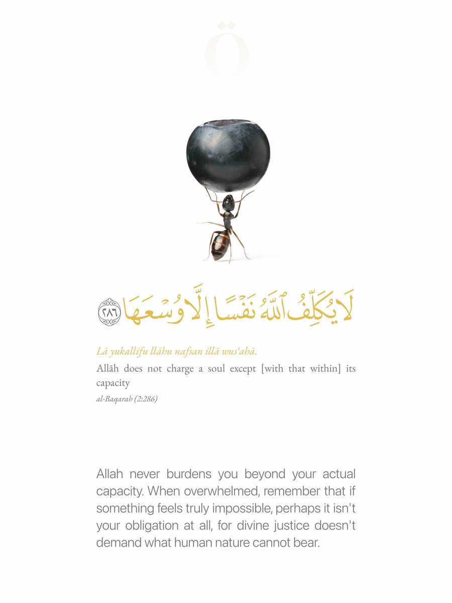 7signxx's tweet photo. Allah does not burden a soul beyond what it can bear... https://t.co/Gn4lSn0fic