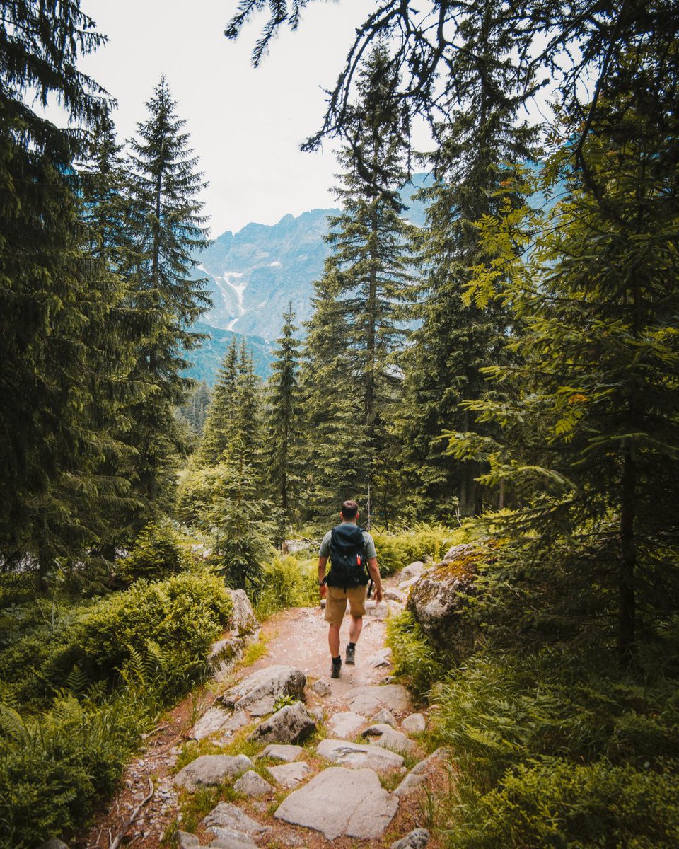 EdgeLivingCOS's tweet photo. Whether it's walking, jogging, biking, or something else entirely, we'd love to know: how do you stay active with the great local trails near The Edge at Mountain Shadows? https://t.co/n6JnLs8oql