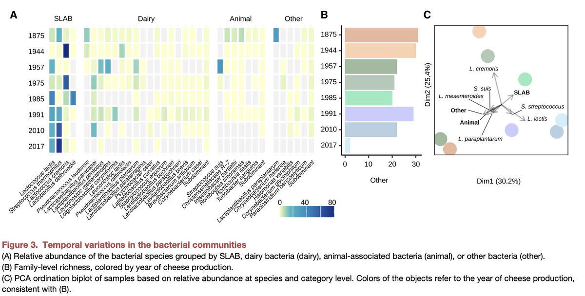 DanTabin's tweet photo. Now we can pair ancient Cheese DNA with ancient wine DNA, how fancy 🧐🎩🧀🍷
In all seriousness this gives us an interesting look into the changes in fermentation microbial diversity over time, especially before/after industrialziation
Read the paper here https://t.co/5p9AYHfI5i https://t.co/y9sNckvHlm