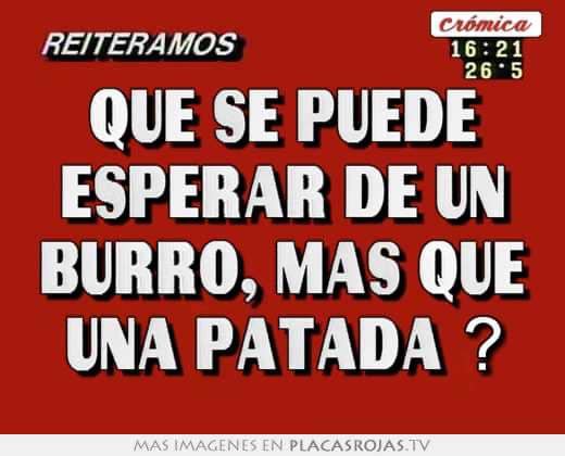 forzapechugon's tweet photo. https://t.co/WgMvaXxk5K